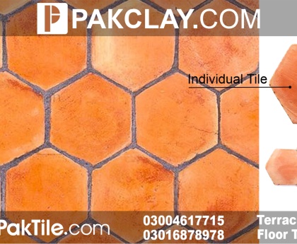 Hexagon Floor Tiles Photo