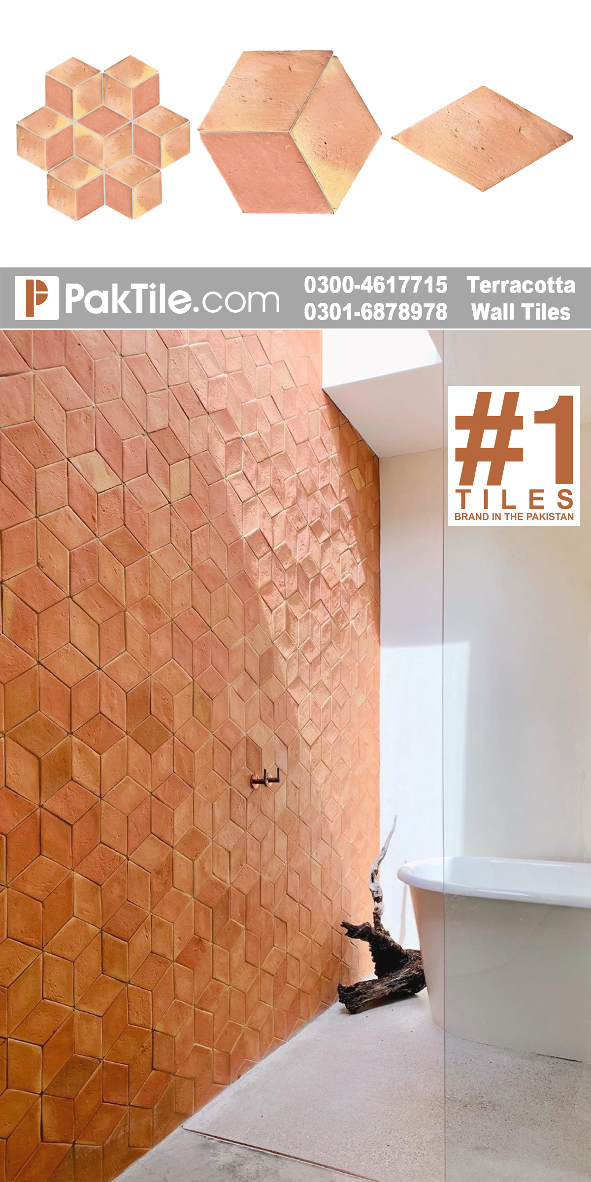 Pak Clay Terracotta Tiles Design in Pakistan (3)